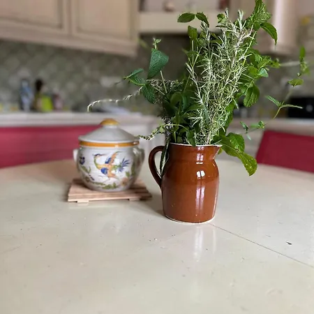 De Pegourdy * Crayssac