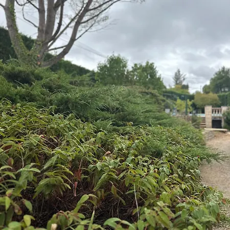 De Pegourdy Feriehus Crayssac