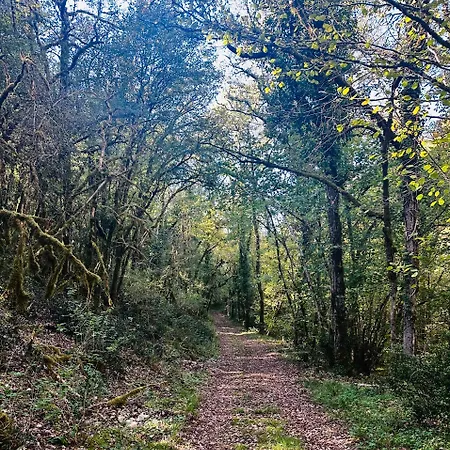 De Pegourdy * Crayssac