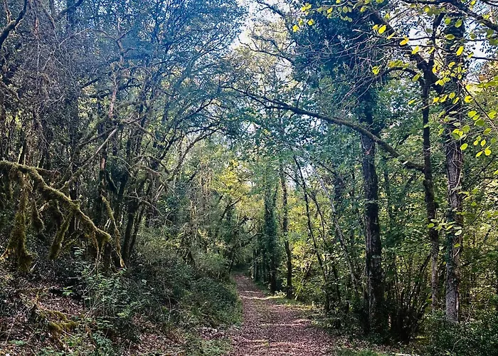 De Pegourdy * Crayssac